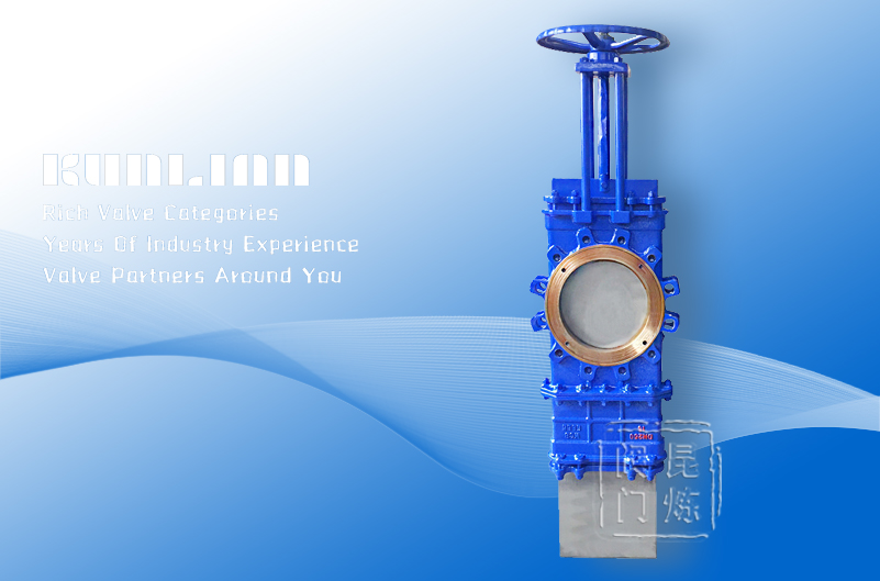 SCZ�ʹ�͸ʽ����y