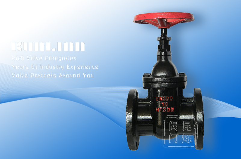 Z44W、Z44H平行式雙閘板閘閥 Z44W、Z44H平行式雙閘板閘閥