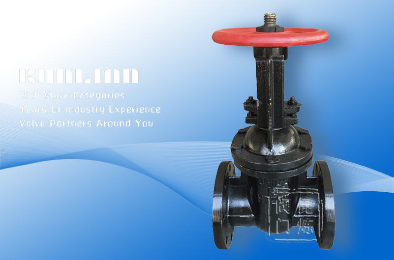 Z41T�T�F���m�l�y