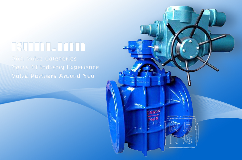 PLV電動(dòng)偏心旋塞閥 PLV電動(dòng)偏心旋塞閥