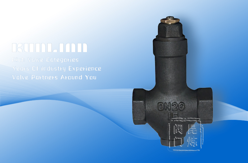 STB鑄鋼波紋管式蒸汽疏水閥 STB鑄鋼波紋管式蒸汽疏水閥