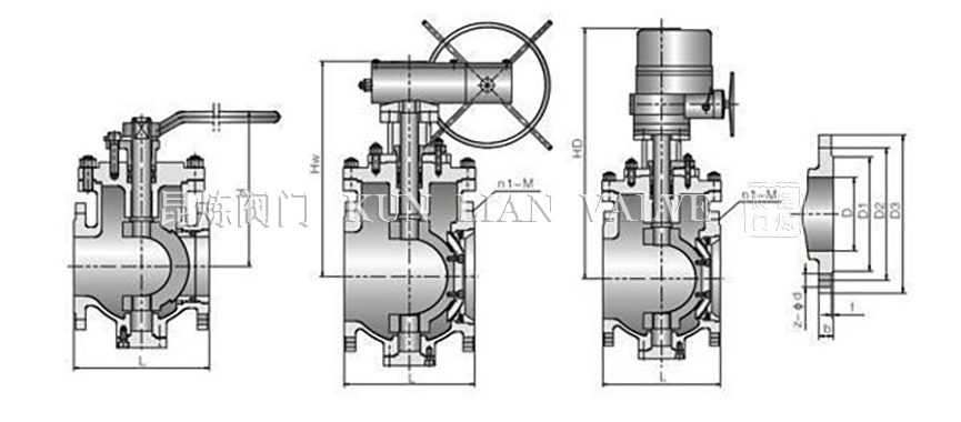 偏心半球閥結(jié)構(gòu)特點(diǎn) 偏心半球閥結(jié)構(gòu)特點(diǎn)