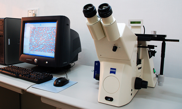 不銹鋼立式止回閥防止銹蝕- 上海昆煉閥門 不銹鋼立式止回閥防止銹蝕- 上海昆煉閥門