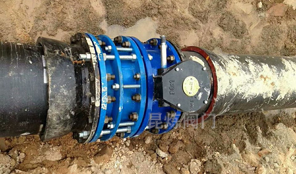 ���m�r�z���y- �Ϻ������y�T