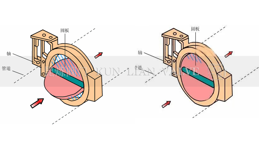 ���y����ԭ��- �Ϻ������y�T�������޹�˾