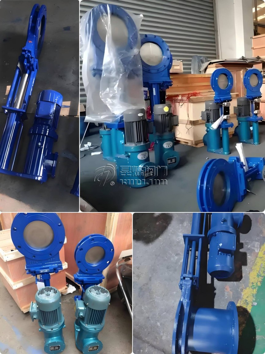 �Һ���մ��l�y�x�͡��S��- �Ϻ������y�T�������޹�˾